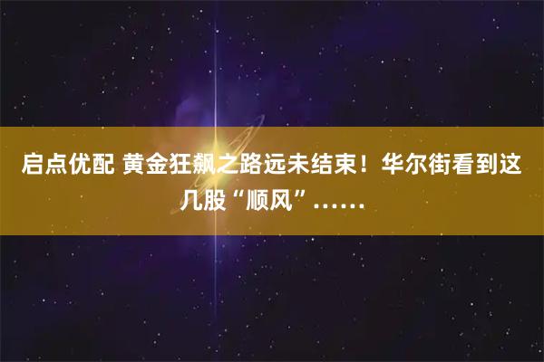 启点优配 黄金狂飙之路远未结束！华尔街看到这几股“顺风”……